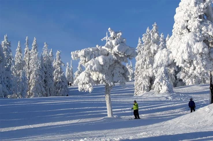 En vintrig campingplats vid Idre fjäll med snötäckta träd och backar, där besökare njuter av vinteraktiviteter och vackra landskap.