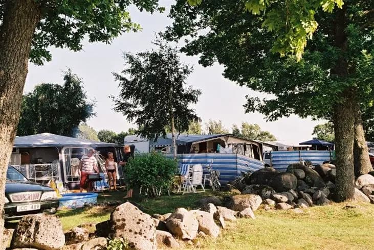 En campingplats i Saxnäs med husbilar, tält och bilar parkerade under skuggande träd på grönområden.