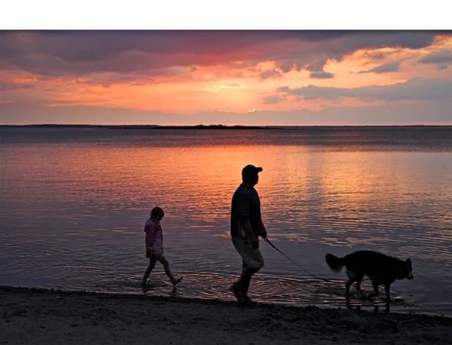 En hund står på en strand vid Saxnäs camping, med horisonten i bakgrunden. Solnedgångens sken färgar himlen i varma toner över havet.