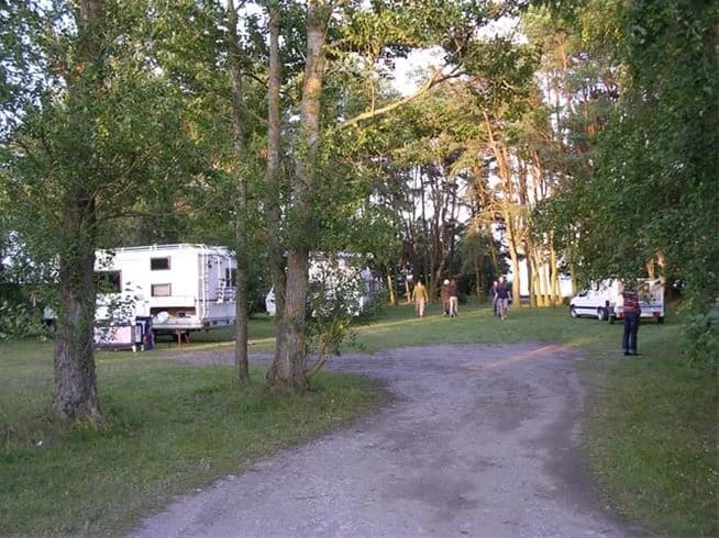 En campingplats vid Stenåsa stugor & camping med tält uppställda på gräsplan, omgiven av träd och växtlighet. Skugga från träden faller över området, och en parkeringsplats syns i bakgrunden.