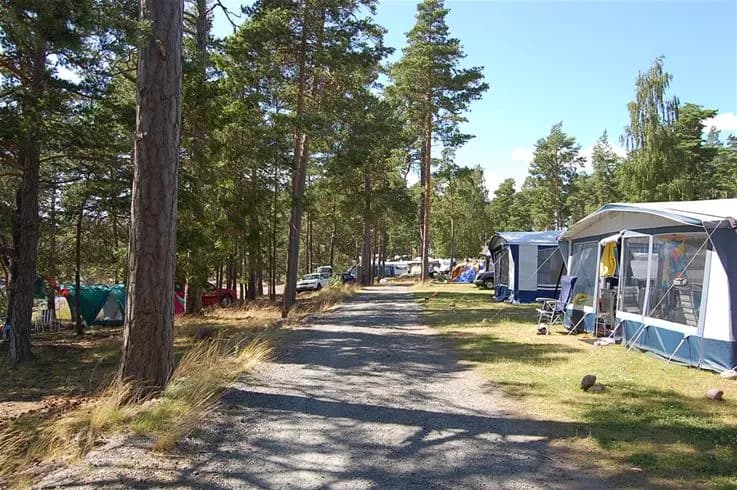 En grönskande campingplats vid kusten med flera träd, tält och husvagnar utspridda. Människor njuter av utomhusaktiviteter och avkopplande stunder i naturen.