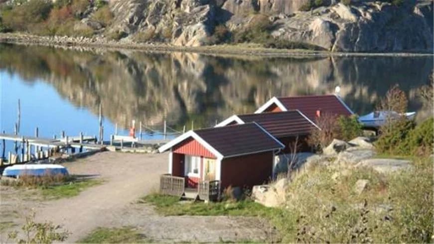 En naturskön kustvy vid Rörviks camping med sjöutsikt, omgivande stugor och frodig grönska, harmoniskt beläget vid strandkanten.