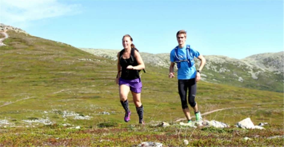 En grupp människor som njuter av utomhusaktiviteter på Idre Fjäll Camping, omgivna av höglänta landskap.