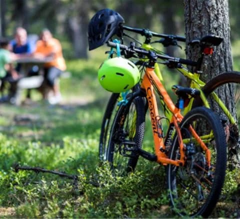 En grupp cyklar parkerade vid en cykelled i natursköna Orsa Grönklitt, omgivna av grönskande skog.