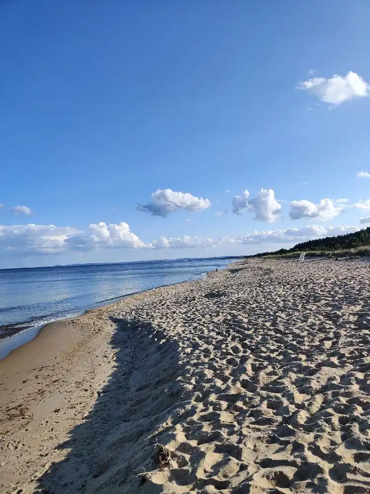 En bild av Martins rökeri och camping vid kusten. Ljusblå himmel och moln ovanför en strand intill havet.