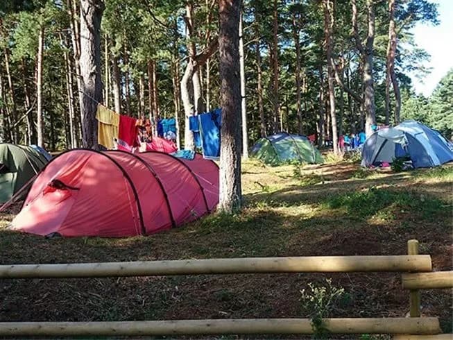En campingplats vid Borrbystrand med tält uppställda bland träd i en skogsmiljö. Fritidsutrustning syns i området där besökare njuter av naturen och rekreationsaktiviteter.