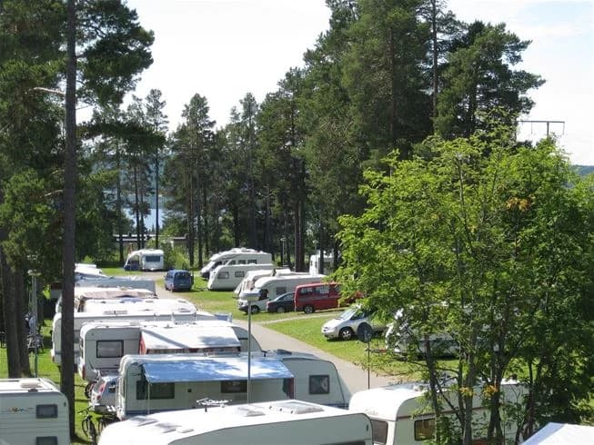En campingplats i Östersund med tallträd, husbilar parkerade i närheten och gröna områden för rekreation.