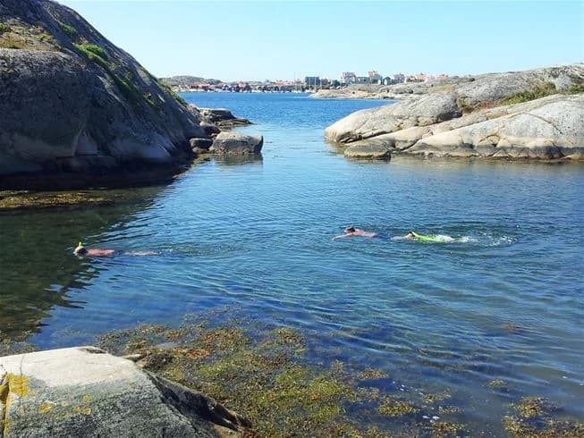 En naturskön kustvy vid Wiggersviks Camping med klippor, strand och ett lugnt hav.