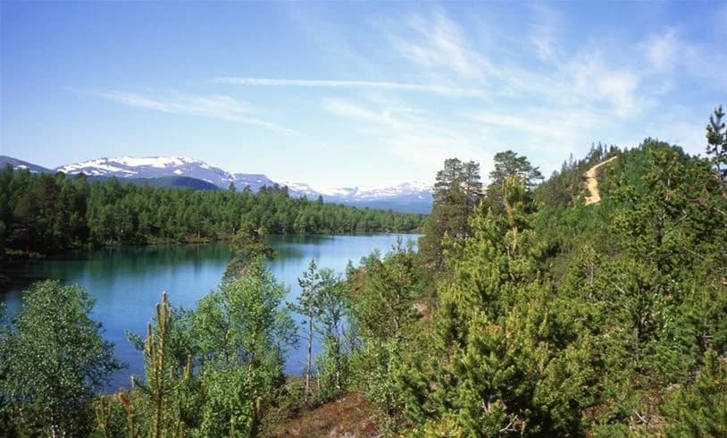 En naturskön vy över Vålågårdens värdshus & camping, omgiven av skog, berg och ett landskap som präglas av vattenresurser och vildmark.