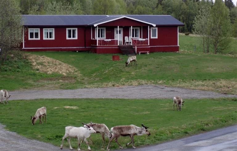 En lantlig stuga omgiven av vidsträckta ängar och betesmarker vid Vålågårdens värdshus & camping. Grönskande natur och öppna fält skapar en fridfull atmosfär.