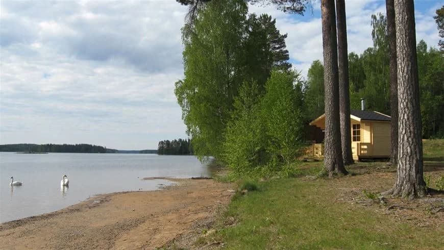 Bild av Sörälgens camping med en sjö i förgrunden. Området är omgivet av träd och vid strandkanten syns några stugor.
