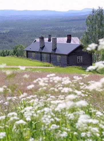 En grönskande campingplats med stugor omgivna av gräs och ängar i en lantlig miljö vid Svegs camping.
