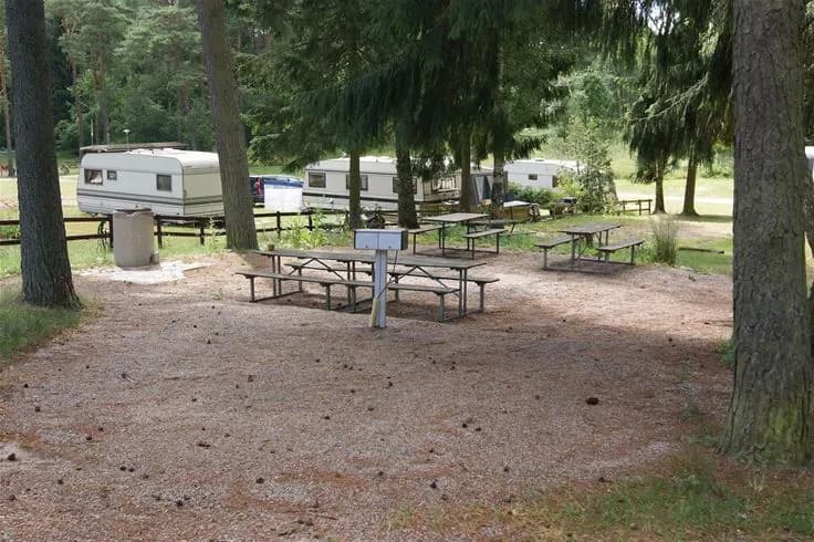 En utomhusbild från Orebackens camping som visar ett picknickbord och bänkar omgivna av skog och grönska.