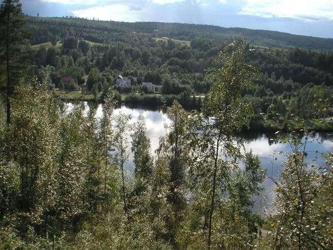 Lugn naturbild vid Näsåkers Camping & Stugby, visar en sjö omgiven av frodig grönska och skog, med en naturlig och vildmarksliknande atmosfär.