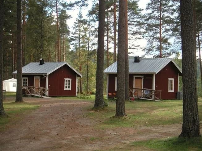 En mysig timmerstuga i en skogsmiljö på Näsåkers camping & stugby, omgiven av täta träd och naturliga trädgårdsbyggnader.