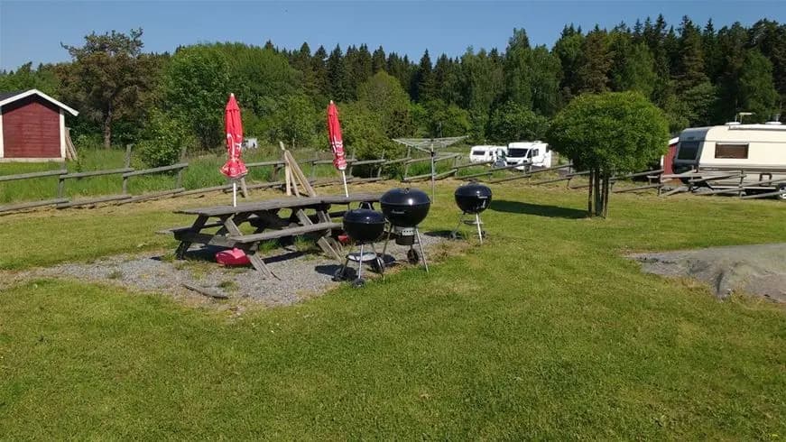 En grön, solig campingplats i Norrtälje med gräsmattor, träd och öppet landskap under en molnig himmel.