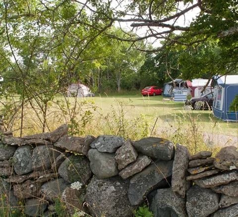 En campingplats med gröna växter och en stenmur i bakgrunden. Flera husbilar och bilar är parkerade på grusytor.