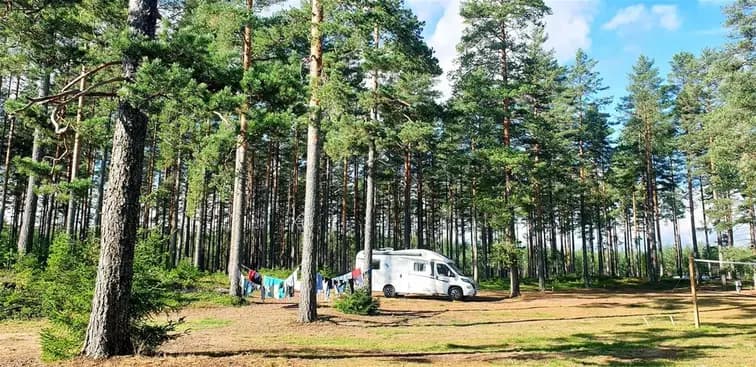 En naturskön campingplats omgiven av täta skogar med både löv- och barrträd, perfekt för friluftsaktiviteter och avkoppling i skuggan.