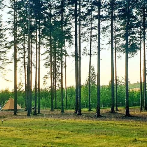 Föryngra själen vid Naturcamping Lagom i Värmland; en fridfull oas där naturens skönhet och stillhet förenas.