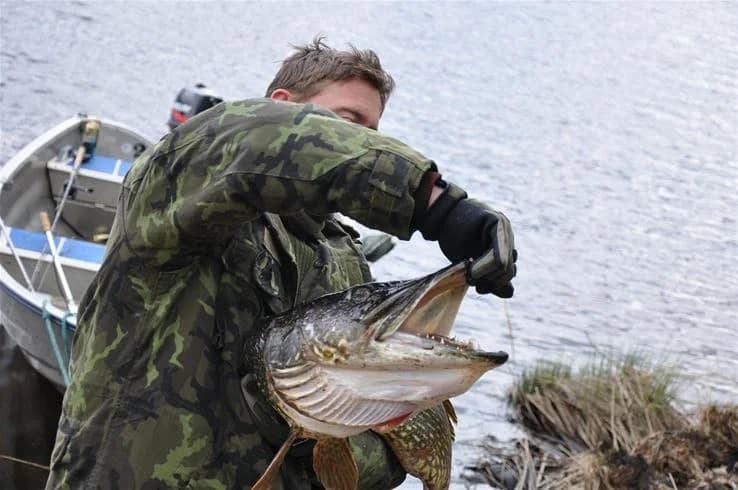 En man poserar med en stor gädda han fångat vid en sjö, omgiven av grönskande natur och klar blå himmel på Mjölknabbens camping.
