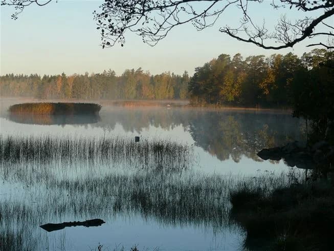 Naturnära oas vid Åsndens strand, med charmiga boenden och aktiviteter för hela familjen. Upptäck Smålands skattkista!