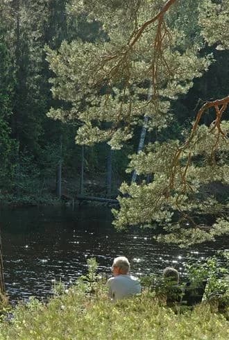 Bild på Liens camping som visar en naturskön miljö med tät skog, sjö och vildmark. I förgrunden syns en lugn strandkant omgiven av grönskande skog, vilket ger en fridfull stämning.