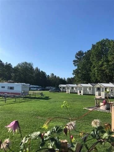 En grönskande campingplats med välskött gräsmatta och landskapsdesign, där en husvagn står parkerad bland träden. Perfekt för naturälskare och friluftsentusiaster. 