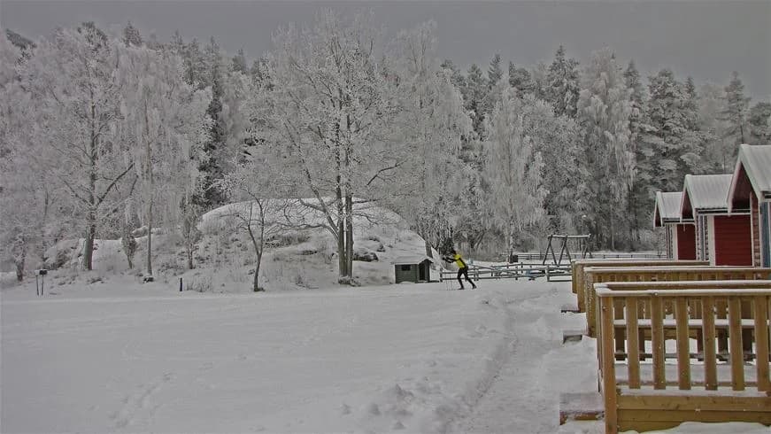 Snötäckt vinterlandskap med träd och en liten stuga vid Jogersö Eco Camping. Marken är frusen och täckt av snö, och träden står nakna mot en klar vinterhimmel.