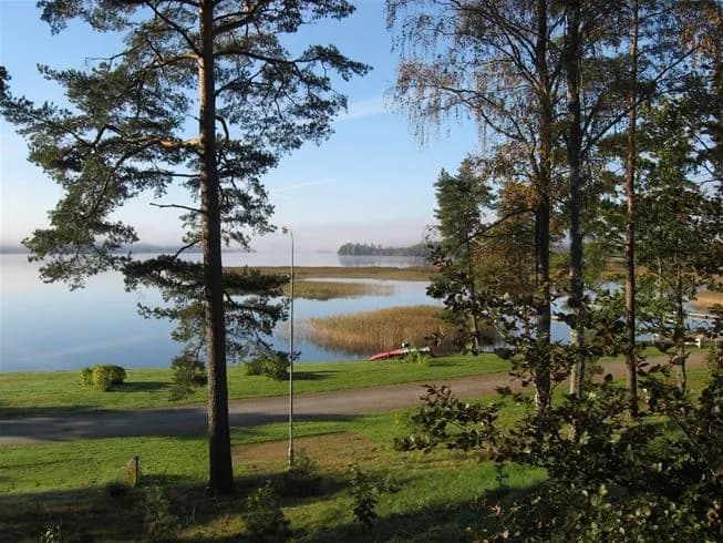 En grön och frodig omgivning på Hanatorps camping, med träd, gräs och växtlighet som sträcker sig över ett naturligt landskap.