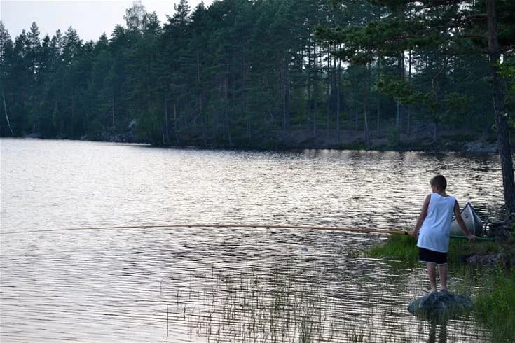 En naturskön sjö med klart vatten omgiven av skog, idealisk för rekreation och avkoppling.