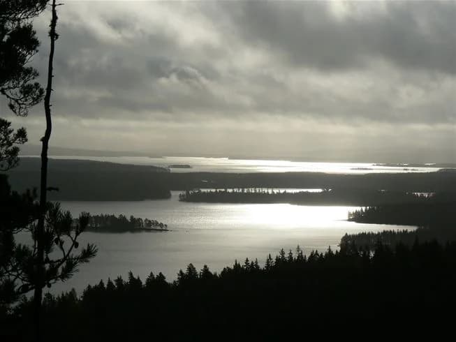 Bilden visar en fridfull sjö vid Glaskogens vildmarkscamping, omgiven av grönskande natur och skogar under en molnig himmel.