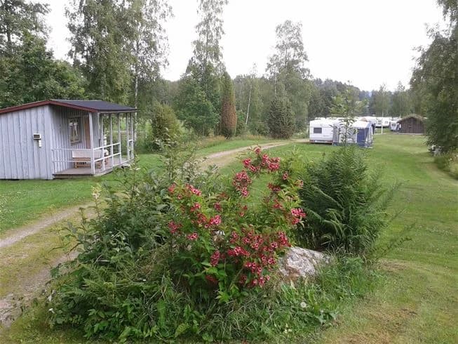 En grönskande campingplats med gräs, träd och buskar; en stuga syns i bakgrunden omgiven av en lantlig miljö.