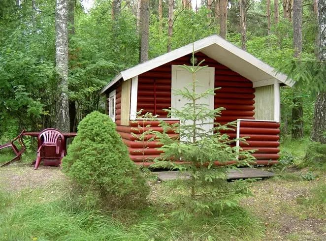 En liten timmerstuga omgiven av tät skog och träd.