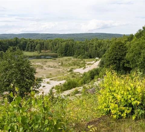 En grönskande campingmiljö med träd och buskage, omgiven av gräs och naturligt landskap, typiskt för en naturplats som Ivö camping.