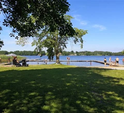 En somrig bild från Ivö Camping med utsikt över en sjö omgiven av frodiga träd. I förgrunden syns en strandkant där besökare kan njuta av naturen och fritidsaktiviteter vid vattnet.