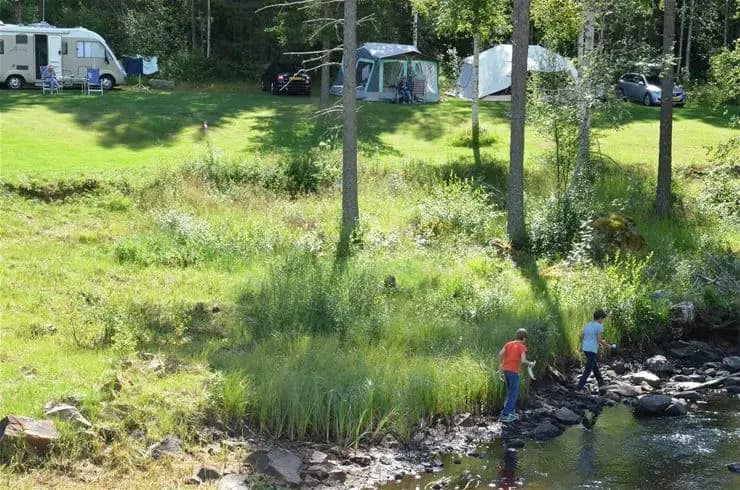 En somrig campingplats vid en flod, omgiven av gröna träd och rik vegetation, på Wildlife Sweden Camp Ängra.
