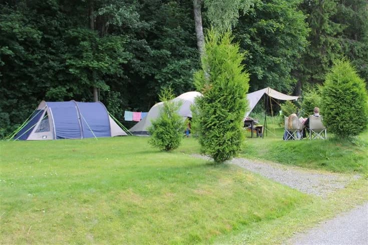 En campingplats med tält uppställda under skuggande träd, omgiven av grönskande gräsmattor. Perfekt för avkoppling och friluftsaktiviteter.
