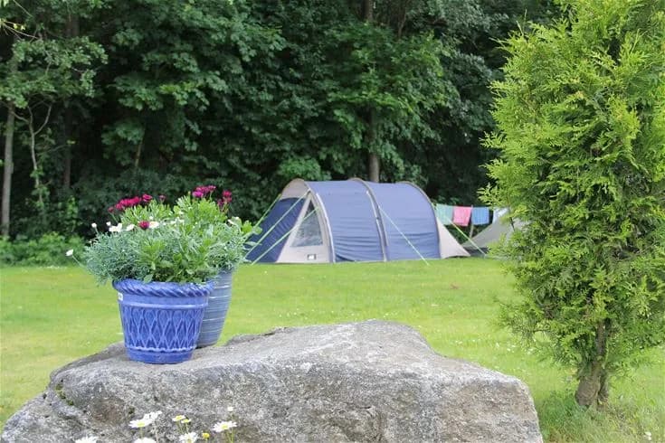 Bild av Malmköpings Bad & Camping med grönskande gräs och buskar i förgrunden. Flera tält är uppställda på campingen, omgivna av träd som ger skugga. Området ser inbjudande och avkopplande ut för rekreation och uteliv.