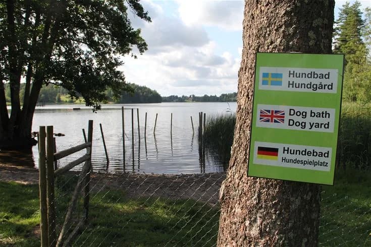En lugn sjö med en grönskande strandkant vid Malmköpings bad & camping, omgiven av frodig natur och en klarblå himmel.