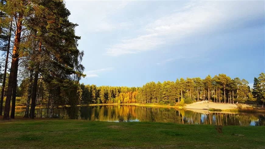 Upptäck natursköna Vivstavarvstjärns Camping – en oas för avkoppling och äventyr nära Sundsvall-Timrå.