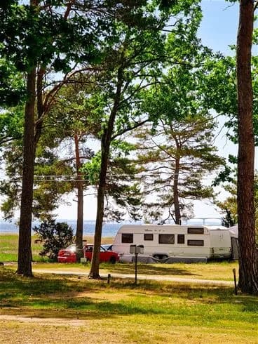 En skuggig campingplats i Kalmar, där en husvagn är parkerad i en grönskande parkmiljö.