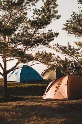 En tältplats vid Kalmar Camping - Rafshagsudden i ett öppet landskap med grönska. Tältet står uppställt under delvis skuggade träd. Morgonsolen lyser över platsen där campingutrustning syns intill.