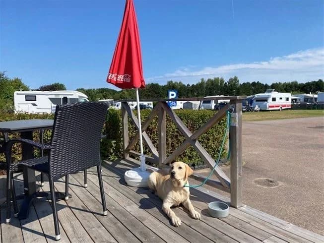 En campingplats med husbilar, husvagnar och tält som står parkerade bredvid varandra på en grusplan.