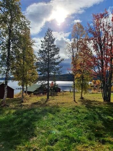 En vidsträckt äng vid Åkersjöstrand camping med grön gräsmatta, trädstammar och lövverk. Landskapet sträcker sig mot horisonten under en molnig himmel, vilket skapar en naturlig och fridfull atmosfär.