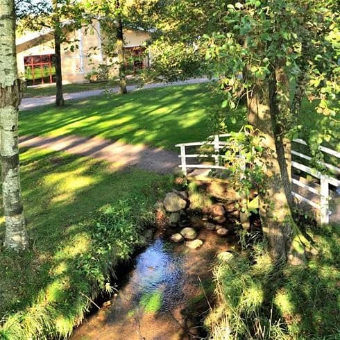 En frodig naturmiljö vid Gullbrannagården med grönska och buskage. Trädstammar syns bland vårens bladverk och en bäck rinner genom området.