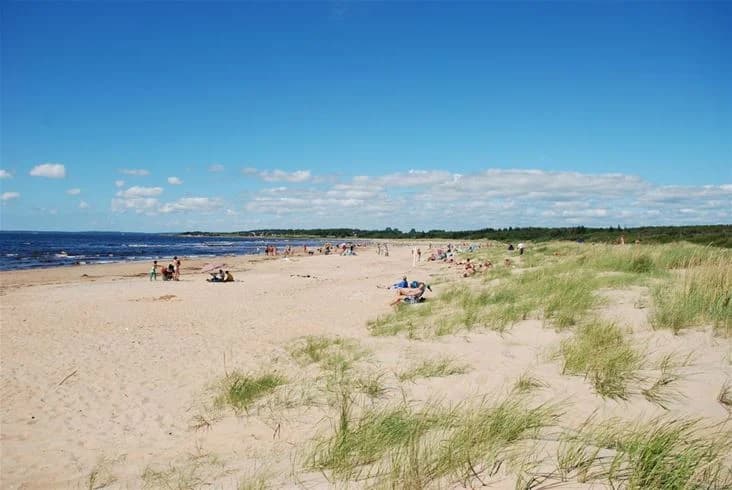 En somrig strand längs kusten vid Gullbrannagården med vågor som rullar in från havet. Människor njuter av solen och sanden under sin semester.