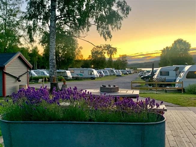 En grönskande campingplats med husvagnar, gräsytor och picknickbord, idealisk för avkoppling och friluftsliv.