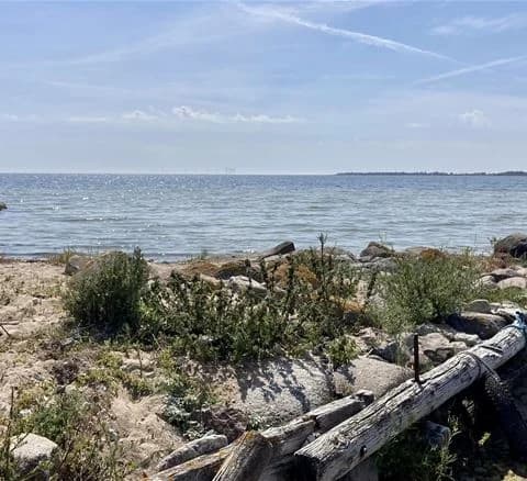 En vy över en blå vattensamling vid Wikegårds semesterby & ställplatscamping, med en träkustlinje i bakgrunden under en klar himmel.