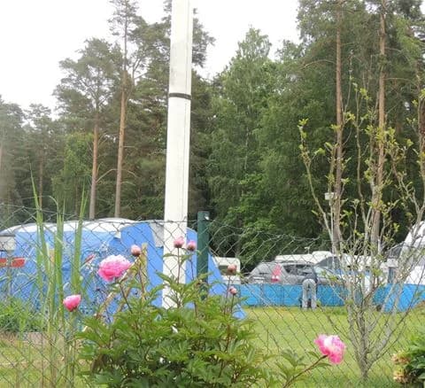 En grönskande campingplats med träd och gräsmatta. Ett vitt tält står uppställt nära några barrträd, medan en hög flaggstång tornar upp sig i bakgrunden.