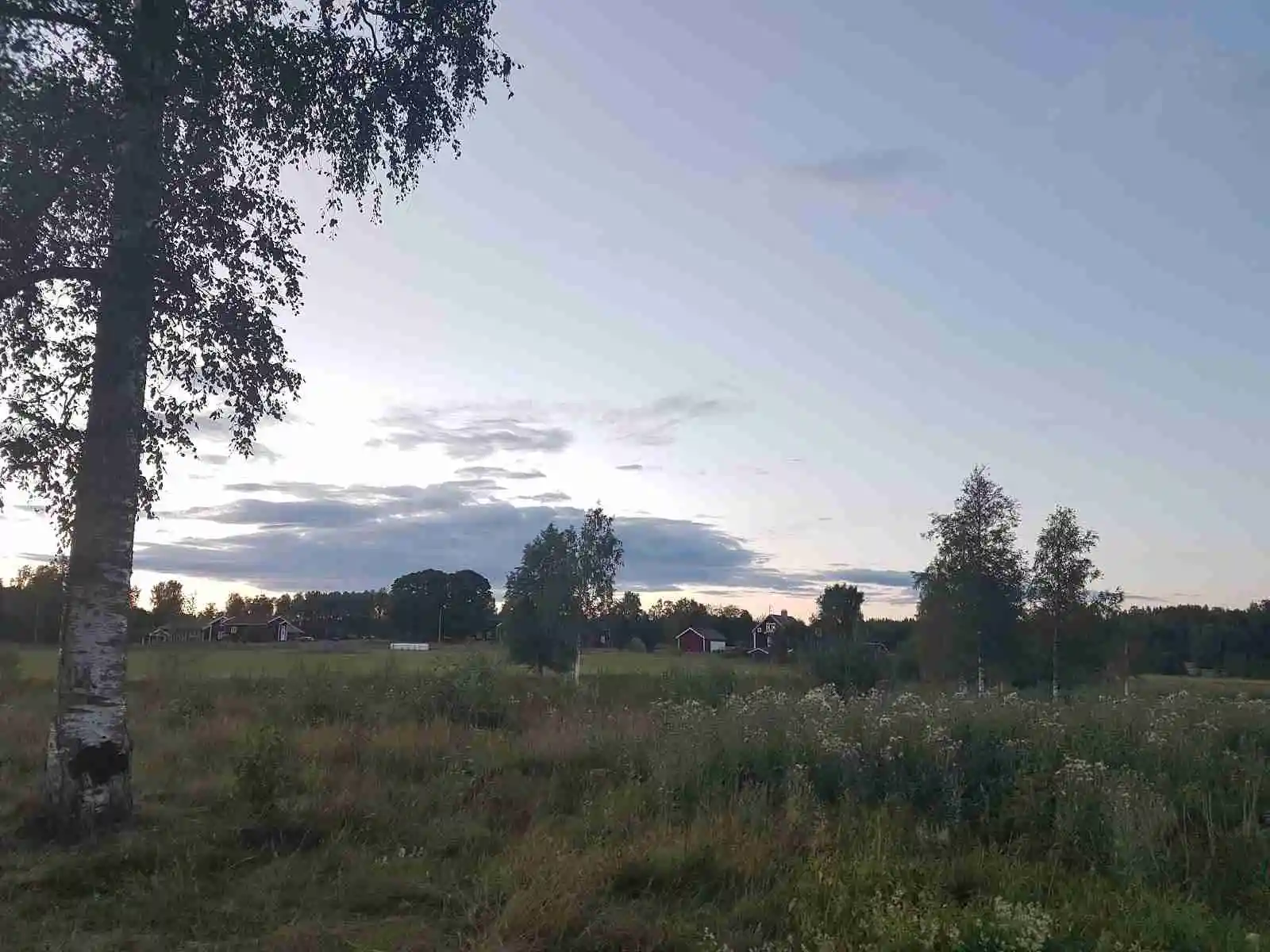 En vidsträckt gräsmark under en delvis molnig himmel vid Sörälgens camping.